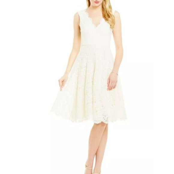 VERA WANG V-Neck Knee-Length lace and flare ivory cocktail bridesmaid Dress sz 8 - Picture 2 of 16